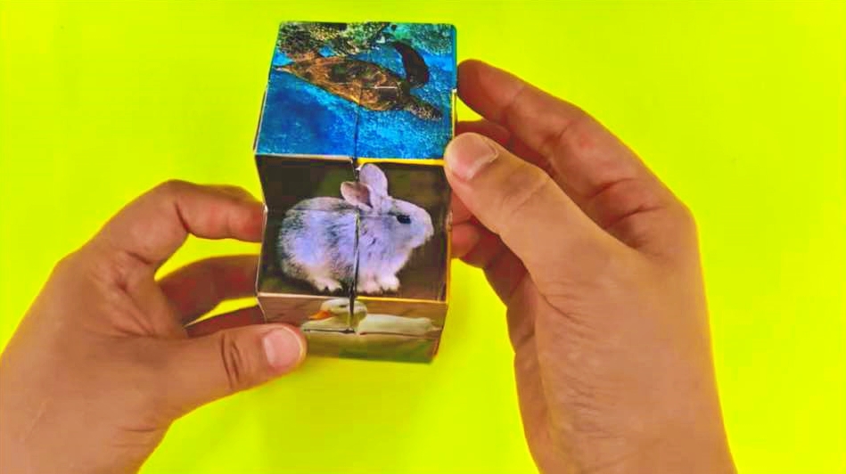 변신! 동물 매직 큐브