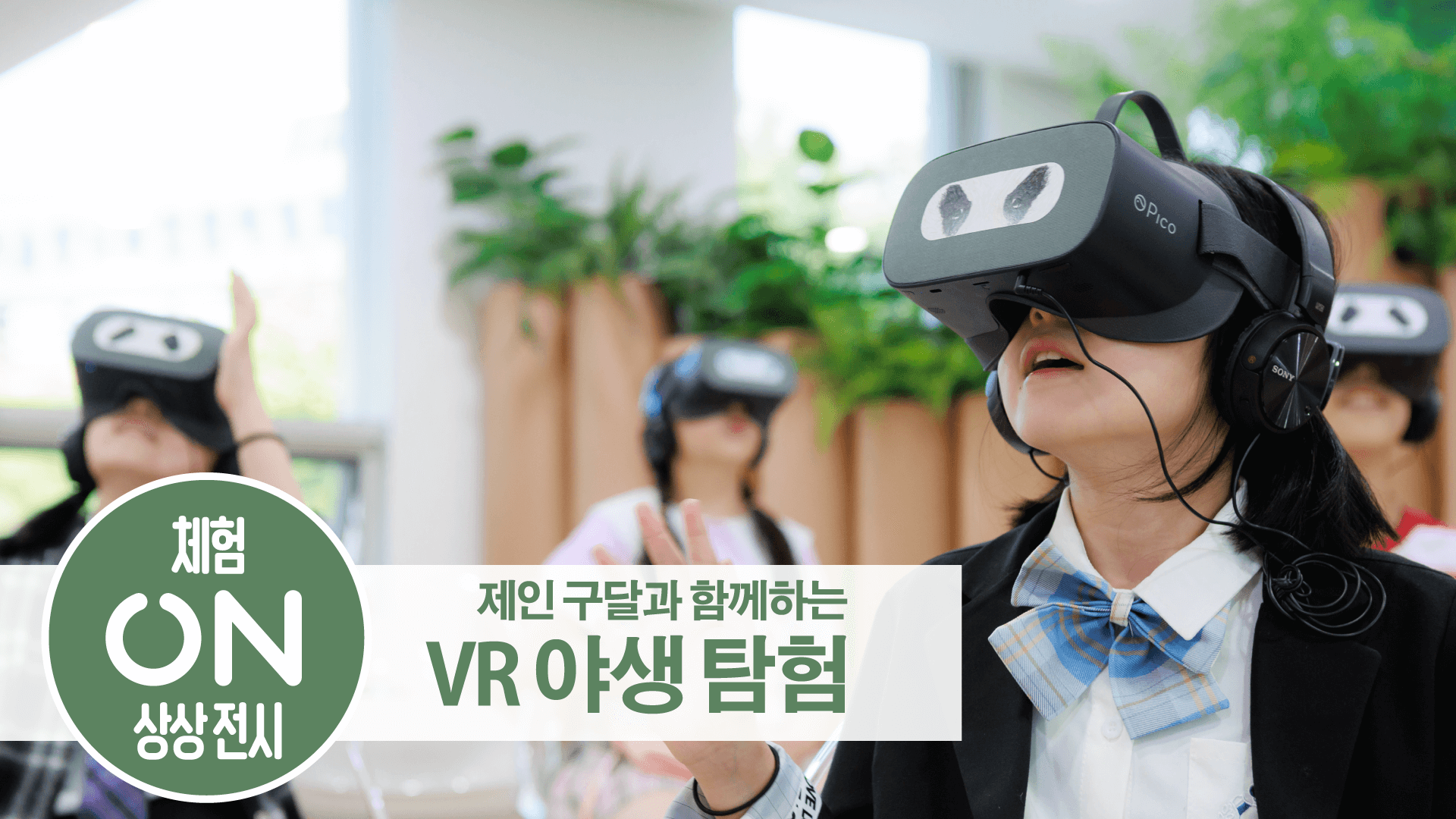 제인 구달과 함께하는 VR 야생 탐험